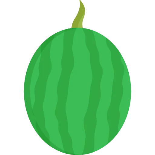 Watermelon icon