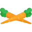 Carrot icon 64x64