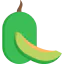 Melon icon 64x64