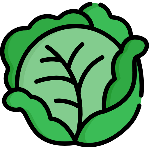 Cabbage icon