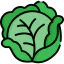 Cabbage icon 64x64