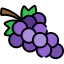 Grapes icon 64x64