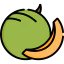 Melon icon 64x64