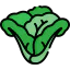 Lettuce icon 64x64