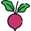 Beet icon 64x64