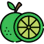 Lime icon 64x64