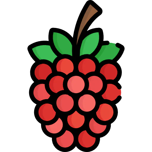 Raspberry icon