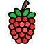 Raspberry 상 64x64