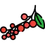 Berries icon 64x64