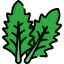 Lettuce icon 64x64