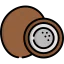 Coconut icon 64x64