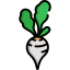 Radish icon 64x64