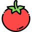 Tomato icon 64x64
