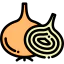 Onion icon 64x64