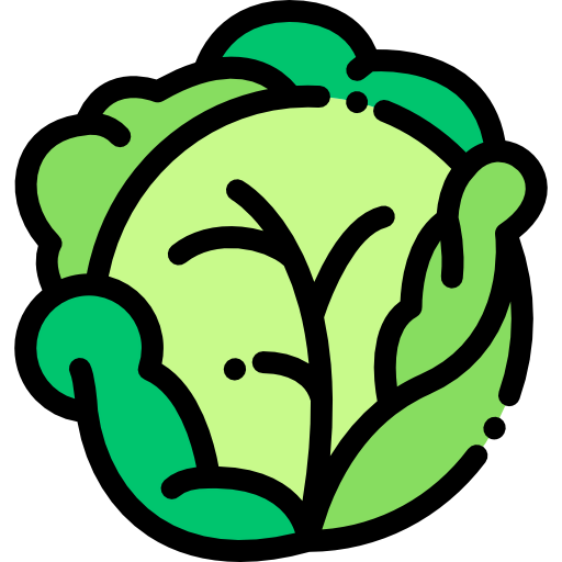 Cabbage icon