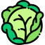 Cabbage icon 64x64