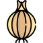 Onion icon 64x64