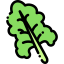 Lettuce icon 64x64