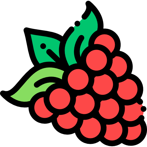 Raspberry icon