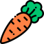 Carrot icon 64x64