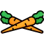 Carrot icon 64x64