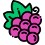 Grape icon 64x64