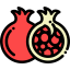 Pomegranate icon 64x64