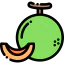 Melon icon 64x64
