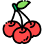 Cherry icon 64x64