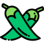 Chili icon 64x64