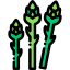 Asparagus icon 64x64