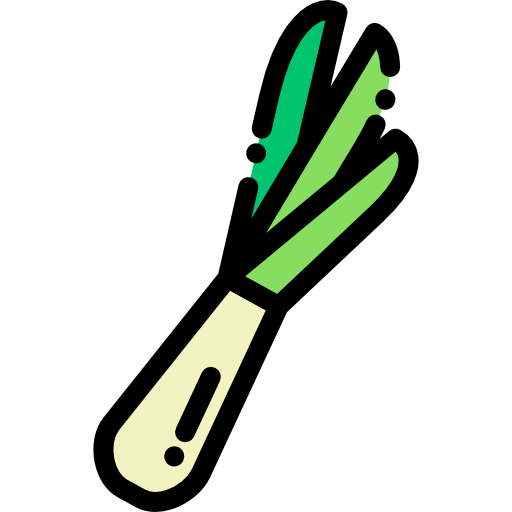 Spring onion icon