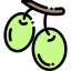 Olives icon 64x64