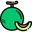 Melon icon 64x64