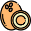 Coconut icon 64x64