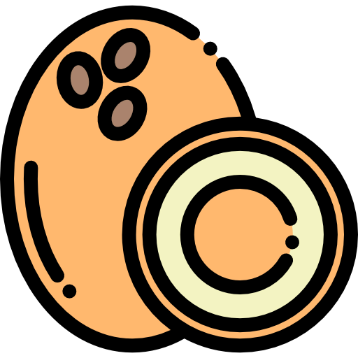 Coconut icon