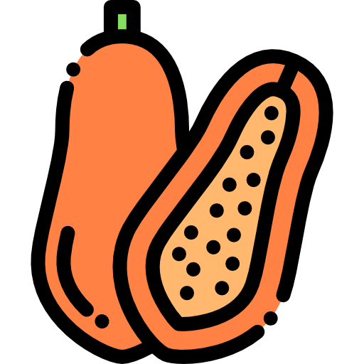 Coconut icon