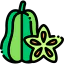 Carambola icon 64x64