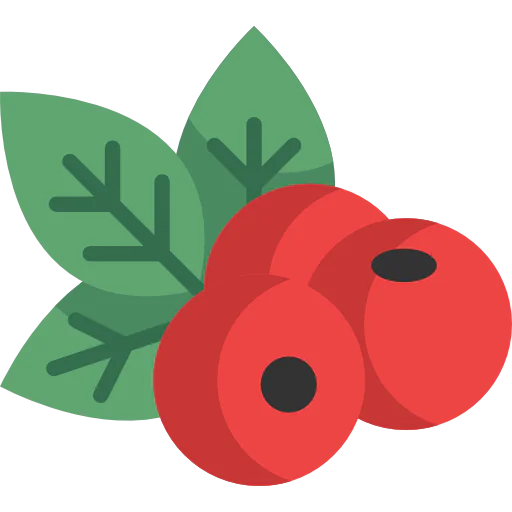 Berries icon