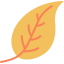 Leaf icon 64x64