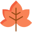 Maple leaf icon 64x64