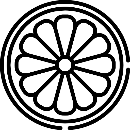Orange icon