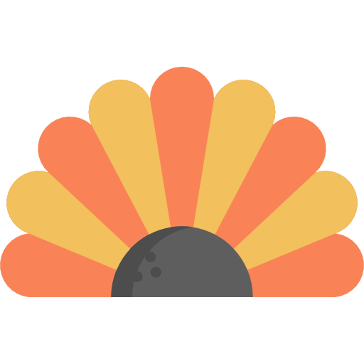 Turkey icon