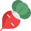 Radish icon 64x64
