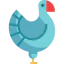 Turkey icon 64x64