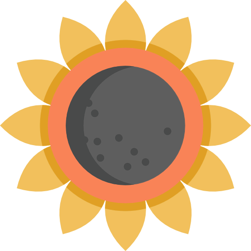 Sunflower icon