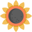 Sunflower icon 64x64