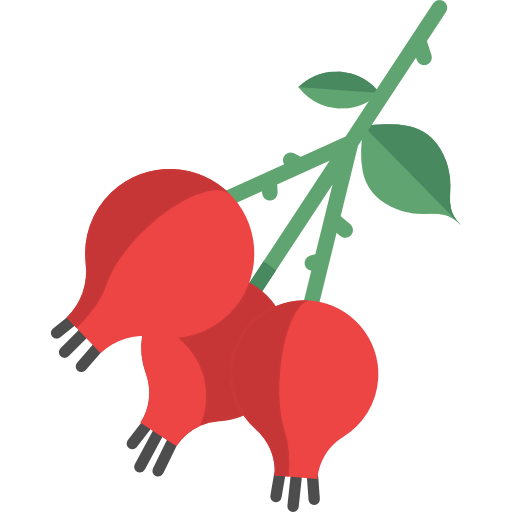 Flower icon