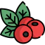 Berries icon 64x64