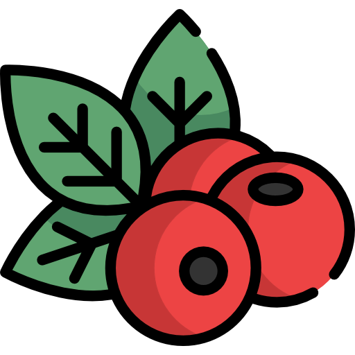 Berries icon